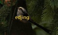 edjing